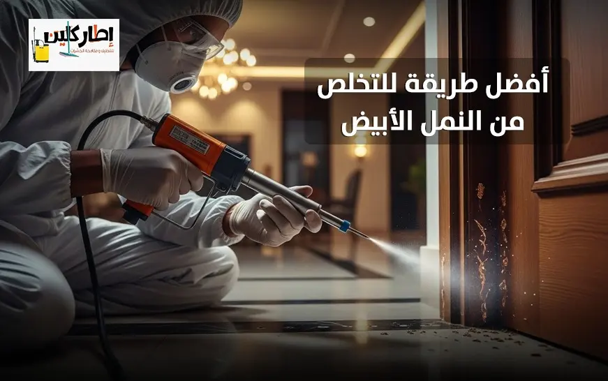 افضل طريقة للتخلص من النمل الابيض​